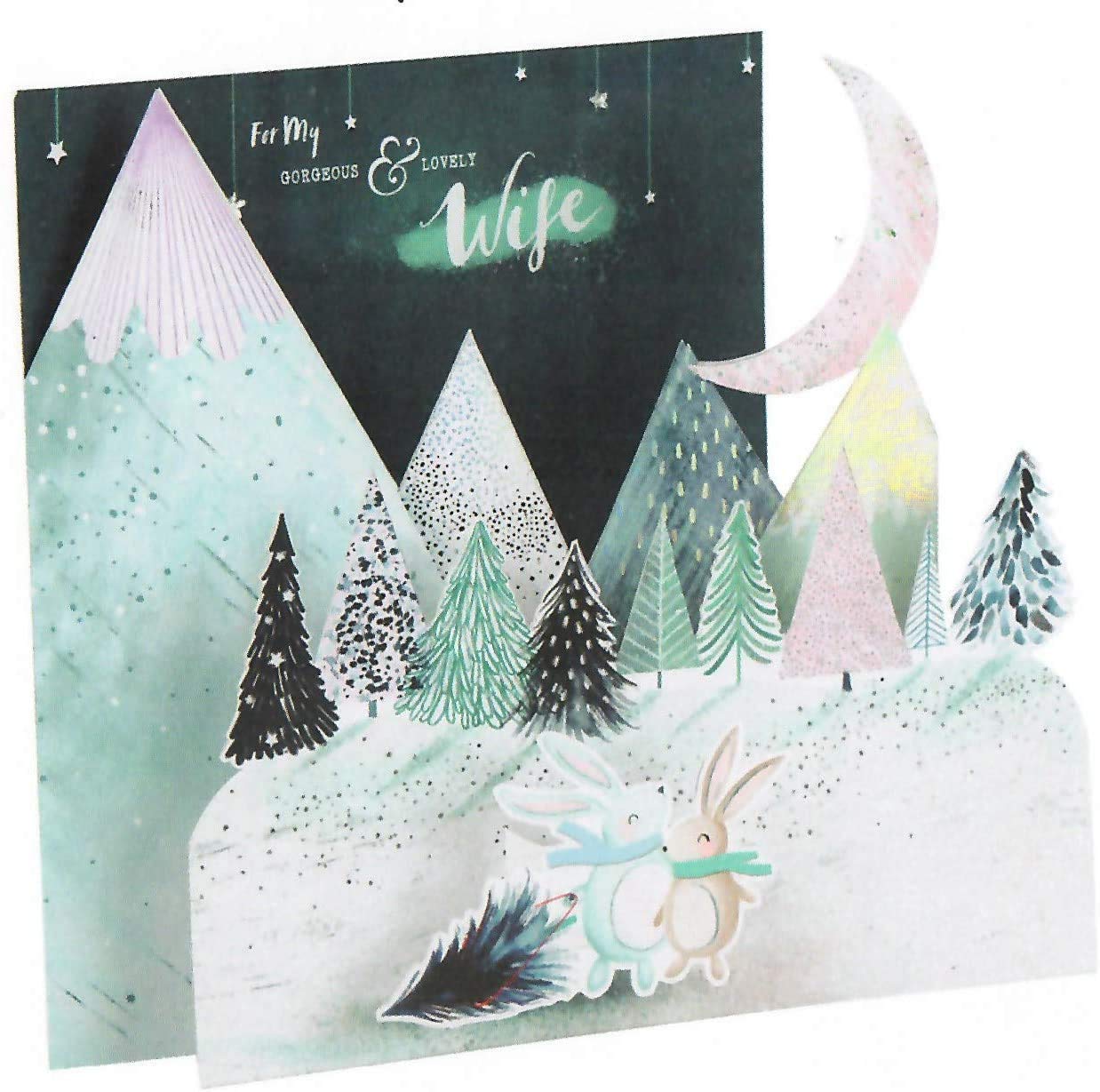 Wife 3D Stand Out Snowy Scene Christmas Card 25520014 HALLMARK Large