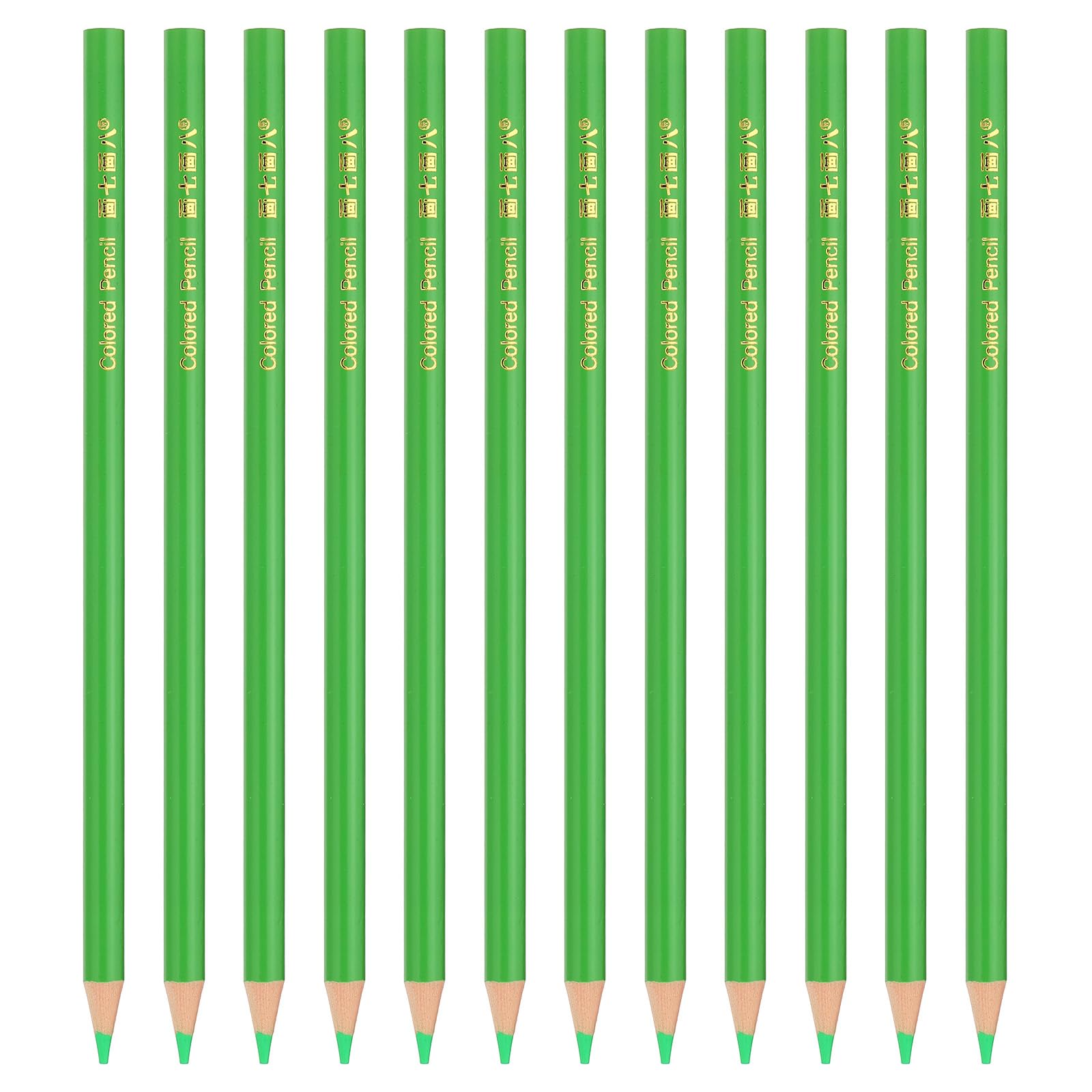 PATIKIL Grass Green Colored Pencils Set,12 Pcs Oil Color Pencils Wooden Coloring Drawing Pencil for Artists Art Painting