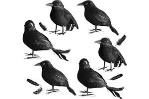 kemooie 6 Packs Real Feathered Halloween Black Crows, Handmade Realistic Crow with Real Feathers Raven Birds for Yard Tree Garden Patio Indoor Outdoor Halloween Decorations