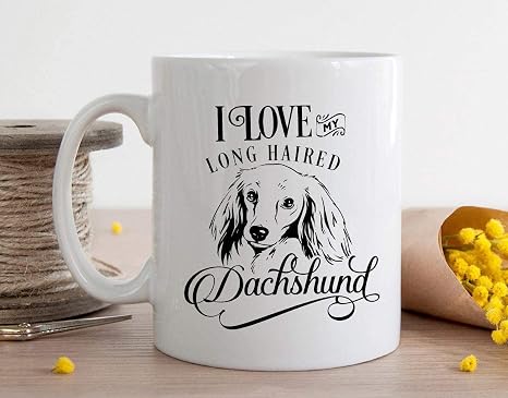 Amazon Com I Love My Long Haired Dachshund Mug Long Haired