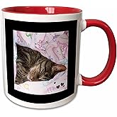 3dRose Cute Sleeping Black Brown Tabby Cat Photo 11oz Two-Tone Red Mug