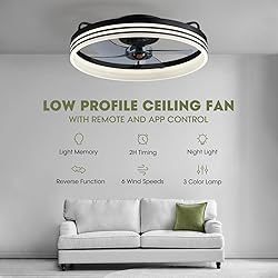 LUDOMIDE Ceiling Fans with Lights, Flush Mount