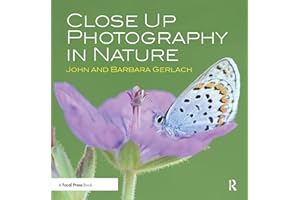 Close Up Photography in Nature