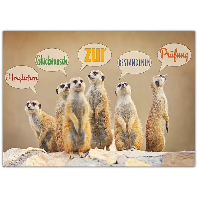A4 XXL Glückwunschkarte zur bestandenen Prüfung ERDMÄNNCHEN mit Umschlag - edle Klapp-Karte Prüfung bestanden Karte zum Absch