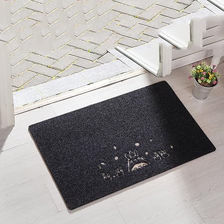 Aich Felpudo Entrada Bajo Perfil Alfombras De Entrada De