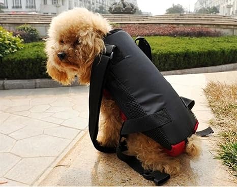 Ospet Avant Chat Chien Sac A Dos De Voyage Sac De Transport Leger Et Sans Danger Pour Porte Bebe Motif Amazon Fr Animalerie