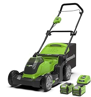 Greenworks Tools G40LM41K2X Rasenmäher 2in1 Mulchen & Mähen, Li-Ion 40V,mit 2 Akku 2 Ah & Ladegerät, 40 V, grün, 50l Fangkorb