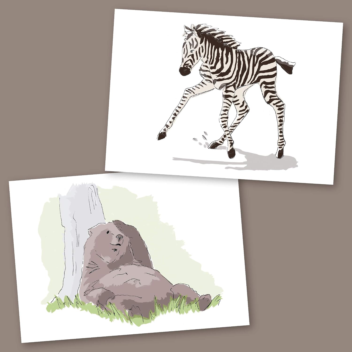Greetings Cards for All Occasions. Pack of 48 Includes 6 Animal Designs. Ecofriendly Cards, Envelopes and Box. Blank Inside. (48 Pack) - Image 3