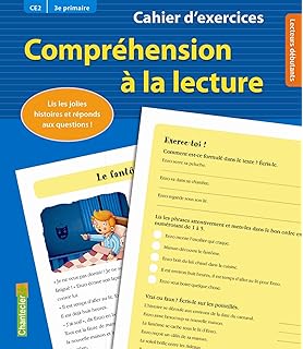 Amazonfr Compréhension à La Lecture Ce1 Cahier D - 
