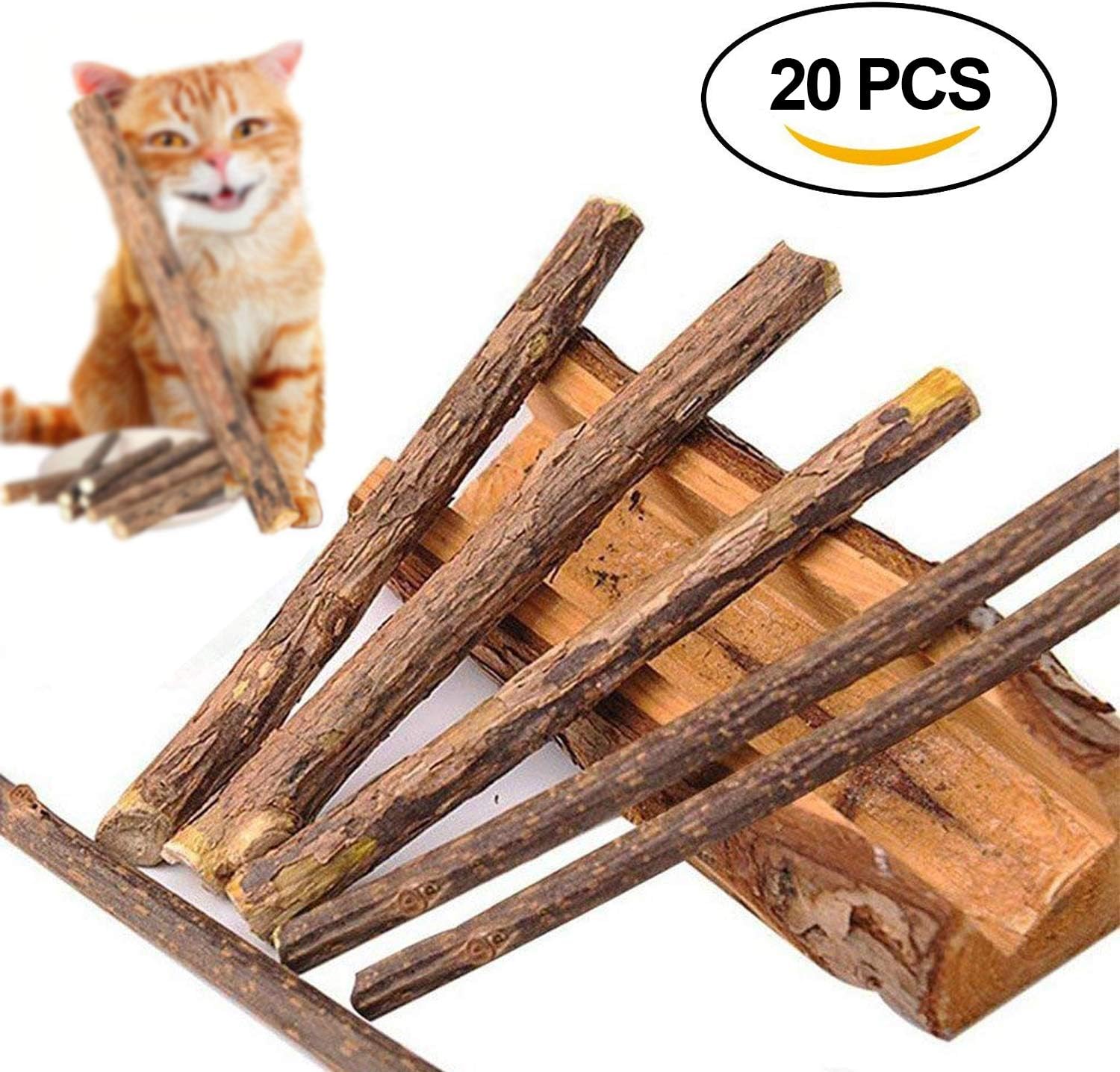 Cat Toys for Indoor, Catnip Toys for Cats, Beetset 20 PCS Matatabi