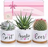 TuDou Best Auntie Ever Ceramic Succulent Pots Gift Set view 8