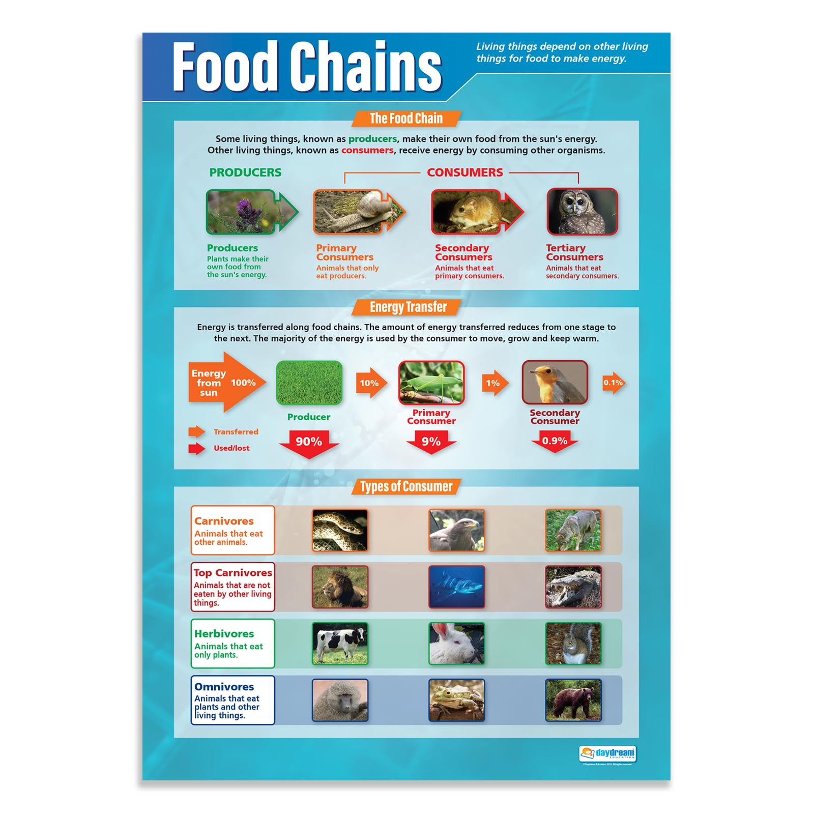 Daydream Education Food Chains | Science Posters | Laminated Gloss Paper measuring 850mm x 594mm (A1) | Science Charts for the Classroom | Education Charts