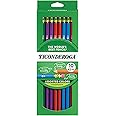 TICONDEROGA Pencils, Wood-Cased Graphite, #2 HB Soft, Pre-Sharpened, Assorted Color Barrels, Black Lead, 10-Pack (13932)