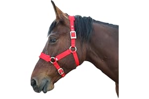 JRANTER Fleece Horse Halter Adjustable Chin and Throat Snap with Snap