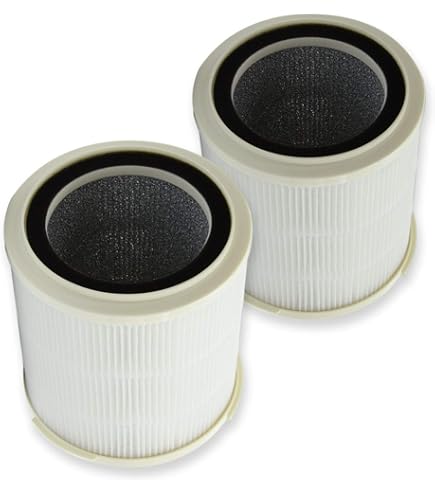 PUREBURG 2er-Pack HEPA Ersatzfilter – Kompatibel Mit Okaysou Cayman 608 Luftreiniger, 3-in-1 Filterung