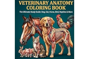 Veterinary Anatomy Coloring Book: The Ultimate Animal Physiology Self-Test Workbook for Vet Techs & Students | Detailed Diagr