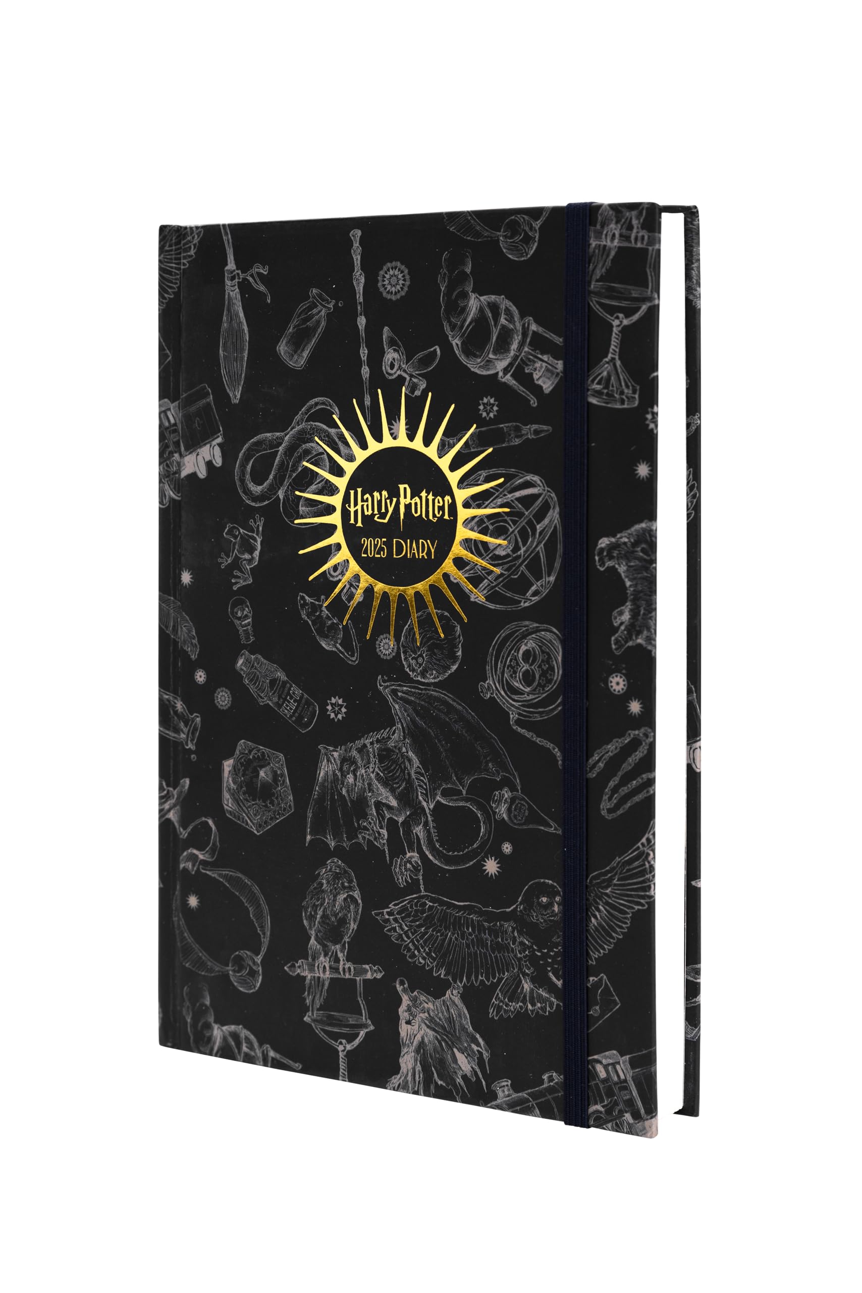 ‎Pyramid International Harry Potter 2025 A5 Diary – Official Daily Planner, Premium Magical Design, Hardcover, Gift for Potterheads, 16-Month Layout
