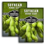 Survival Garden Seeds - Midori Giant Soybean Seed