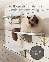 BAYKA Wall Shelves for Bedroom Decor, Floating Wall