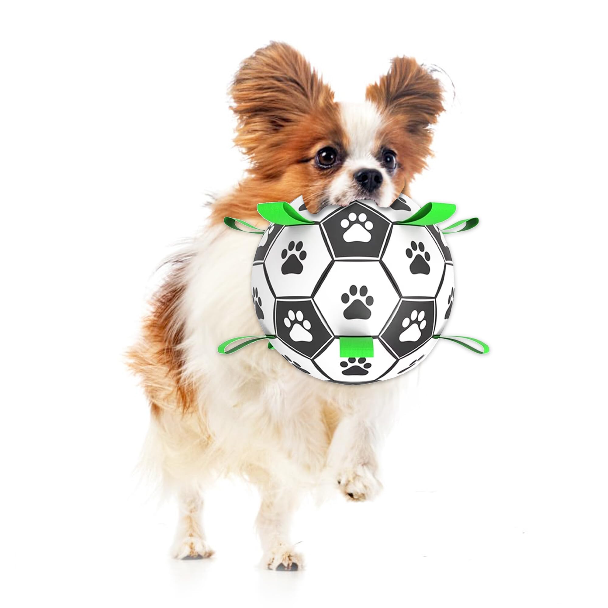 Photo 1 of SunGrow Dog Soccer Ball, Interactive Tug-of-War Toy with Straps, Outdoor & Indoor Training, Mental Game and Physical Exercise for High-Energy Dogs, Small and Medium Breeds, 6”, 9.6 oz