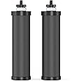Jabrissi NSF/ANSI 42&372 Standards Water Filter Replacement for Berkey® BB9-2® Black Purification Elements, Activated Carbon Filters Compatible with Berkey Gravity Water Filtration System, Pack of 2