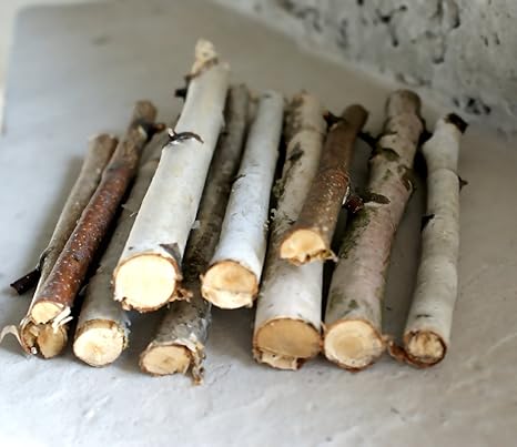 15 Birch Sticks Birch Log White Birch Branches Decorative Birch