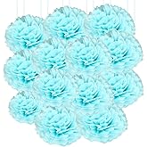 Qimoo 20pcs Light Blue Paper Pom Poms Decorations, DIY Decorative Tissue Paper Pom-poms Flowers Ball for Party Wedding Outdoor Decoration