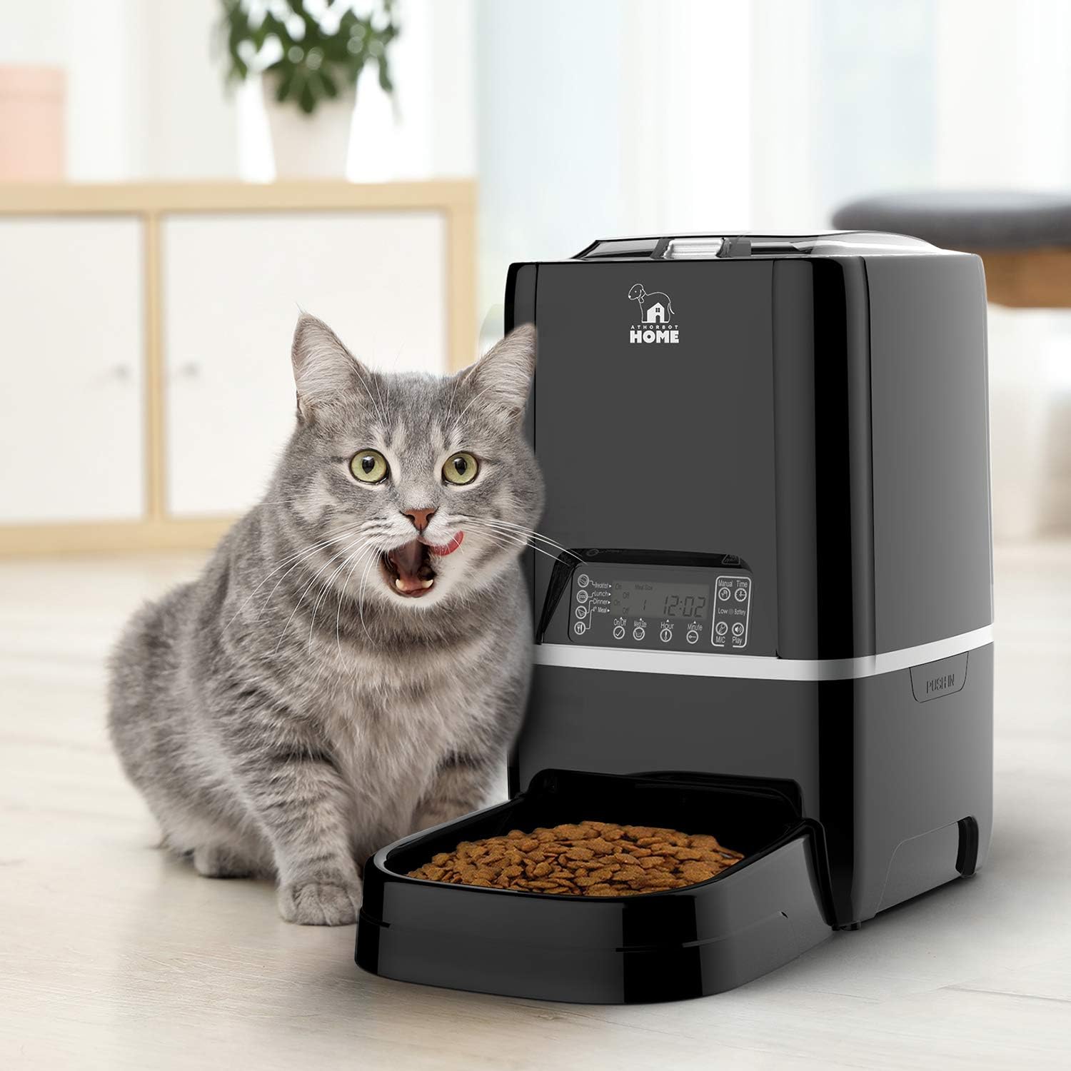 Automatic Pet Feeder | Auto Cat Dog Timed Programmable Food Dispenser Feeder for Medium Small Pet Puppy Kitten - Portion Control Up to 4 Meals/Day, Voice Recording, Battery and Plug-in Power 6.5L(Black) : Pet Supplies