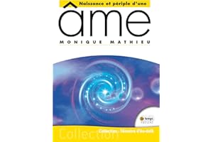 Naissance et périple d'une âme (French Edition)