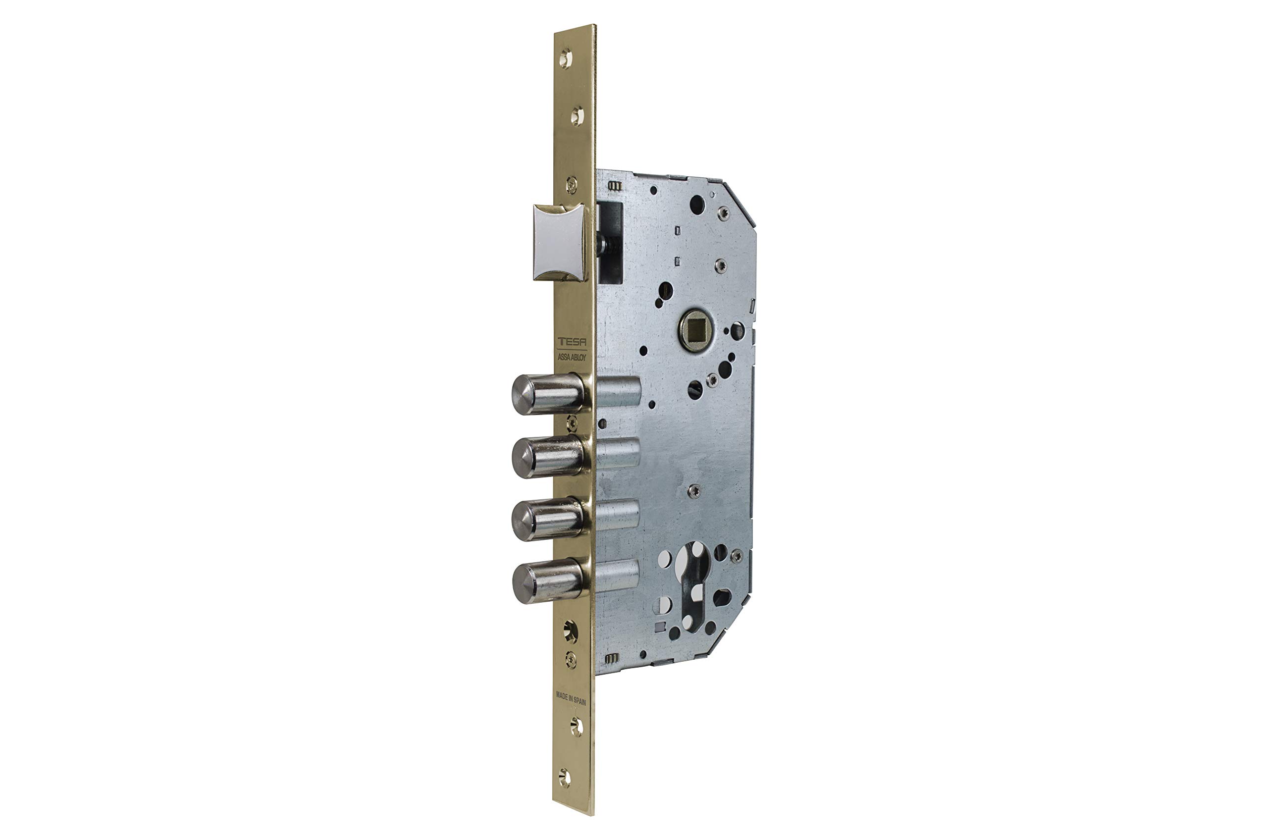 Tesa Assa Abloy R100B5SCE TESA R100B E50 without CIL.AE, Enamel