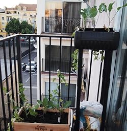 Amazon.com : Compact Upside Down Tomato Planter : Patio 