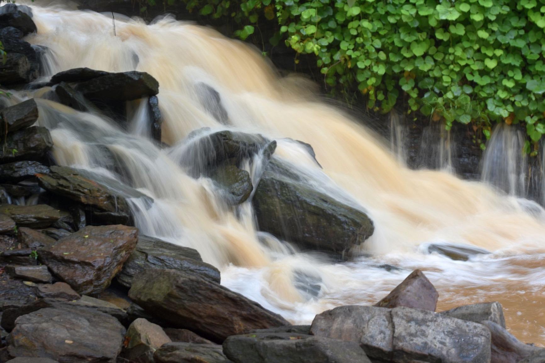 Best "Budget" Prime Lens You'll Find - Absolute Steal for the Price