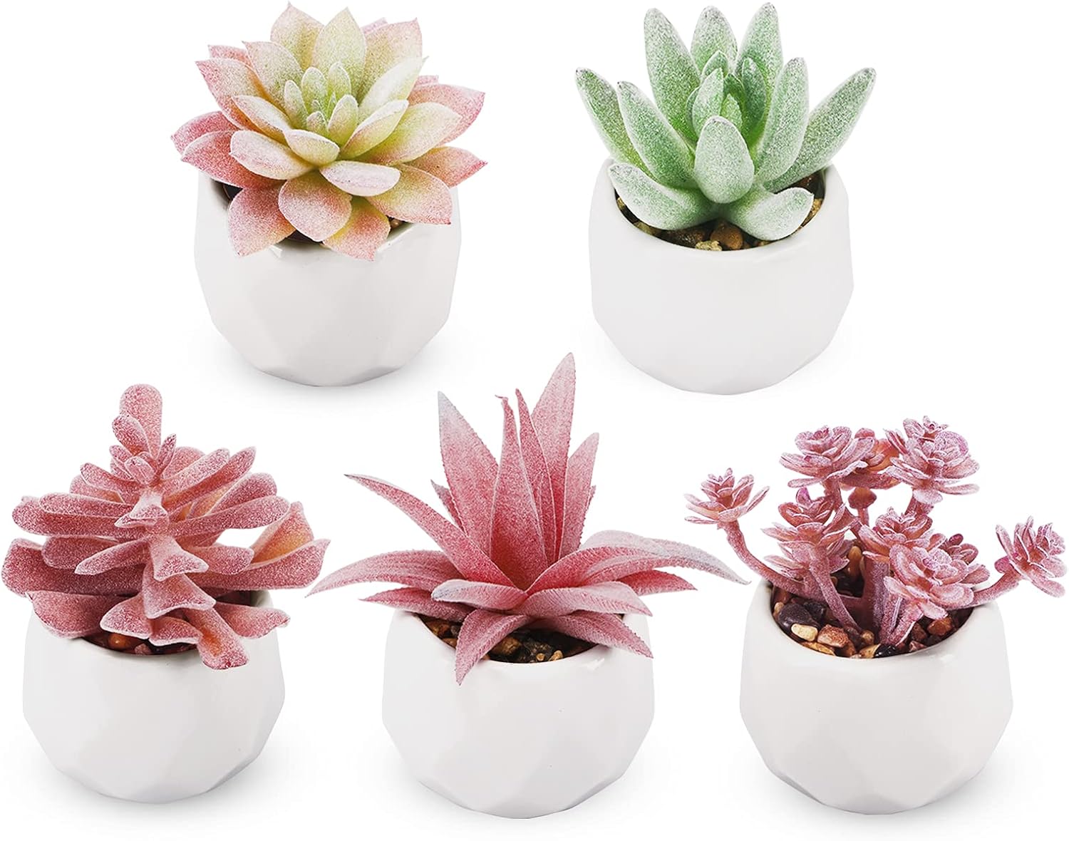 Funarty Artificial Succulent Plants Mini Fake Succulent in Pot Small Fake Plants for Home Decor Set of 5