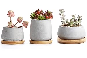 T4U 3.5 Inch Cement Succulent Cactus Pot, Concrete Planter Pot Container Window Box, Small Clay Pot for Plants Flowers with D