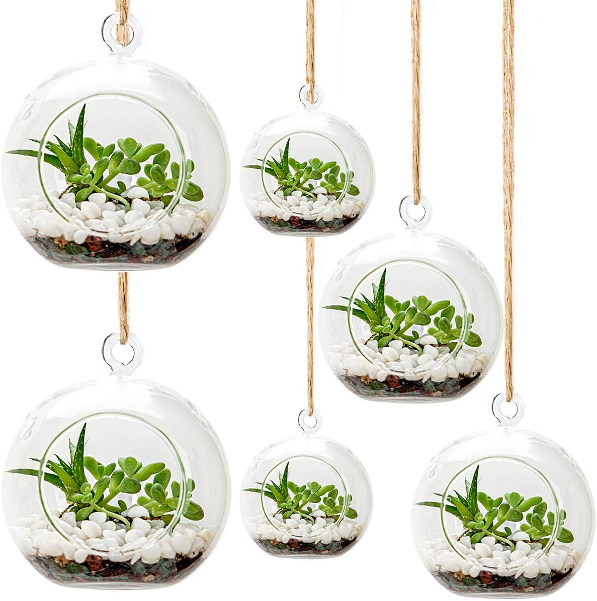 UMEIED Hanging Glass Globes Terrarium Container Set of 6