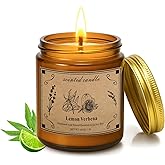 Scented Candles for Home, 16oz Large Jar Scented Candle – Lemon Verbena Soy Wax Candle with 100 Hour Burn Time, Long Lasting Aromatherapy Candle for Home Fragrance, Relaxation & Gift for Women/Men