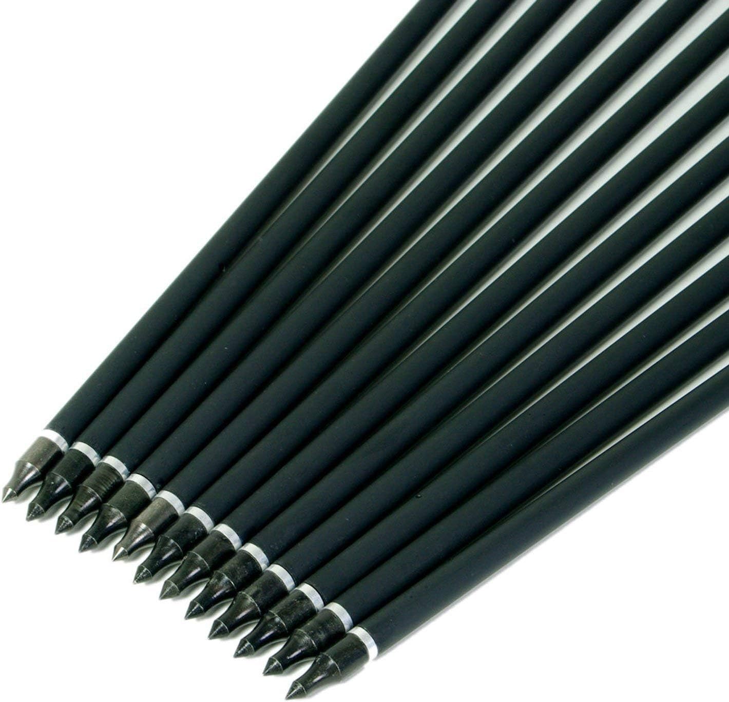 ANTSIR 30Inch Archery Carbon Arrow for Adult, Practice Hunting Arrow with Field Point-Adjustable Nock for Compound and Recurve Bow(Pack of 12) : Sports & Outdoors