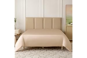 THXSILK 22 Momme 1 Pcs Silk Duvet Cover, 100% Top Grade Pure Mulberry Silk Upscale Series Comforter Cover with Zipper Breathable Cooling Soft Comfortable Safe Material (Queen, Champagne)