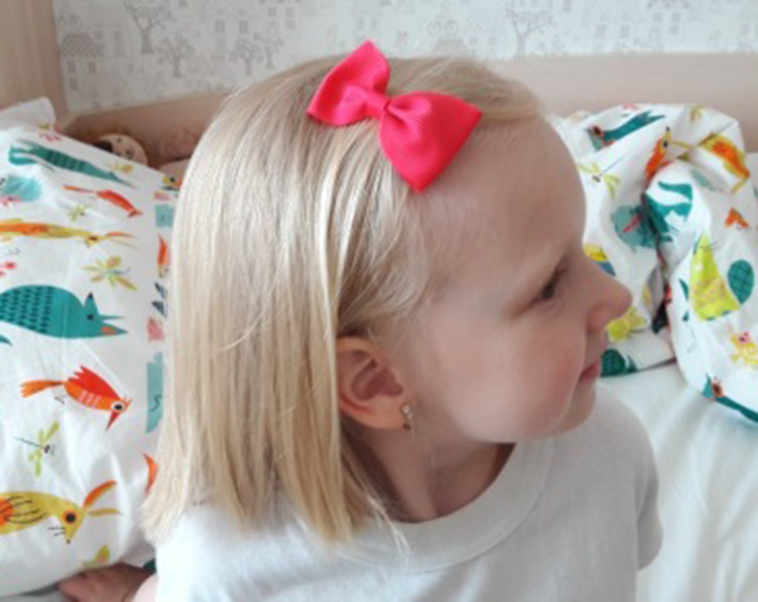 Calliar 2.75in Large Hairpin Hair Bows Clips Barrettes For Baby Girls Teens Toddlers Newborn ,20Pack-Color2