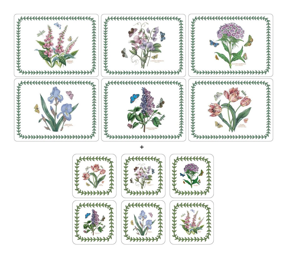 Pimpernel Botanic Garden, 6 Placemats + 6 Coasters