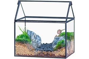 NCYP Small Glass Terrarium with Lid for Plant Succulent 6.1 x 4.33 x 6.3 Inches, House Shape, Indoor Garden Tabletop Decor Pl