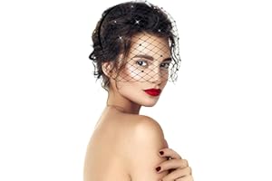 Jansun Black Veil Mesh Veil Headband 1920s Headpiece Birdcage Veil Bridal Wedding Tea Party Fascinator Veil for Women