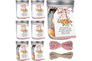 Watersay 6 Set 14 Pcs Christmas Potpourri Simmer Pot 16.6 oz Stovetop Cinnamon Gift Favor Jar Stovetop Simmer Tags Winter Crafting Kit for Xmas Home Party Decor, Not Contain Potpourri(Elegant Style)