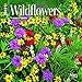 Wildflowers 2017 Calendar