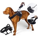 Heavy Duty Dog Harness for Large Dogs, No Pull Dog Vest Harness with Handle Extensible, Reflective Stitching (XXL)