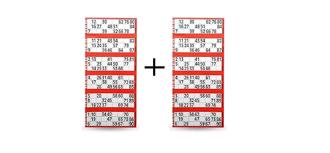 Tefarah Decor TAMBOLA Tickets Set for Ladies Kitty/Picnic/Festival (RED Color) 1200 Tickets