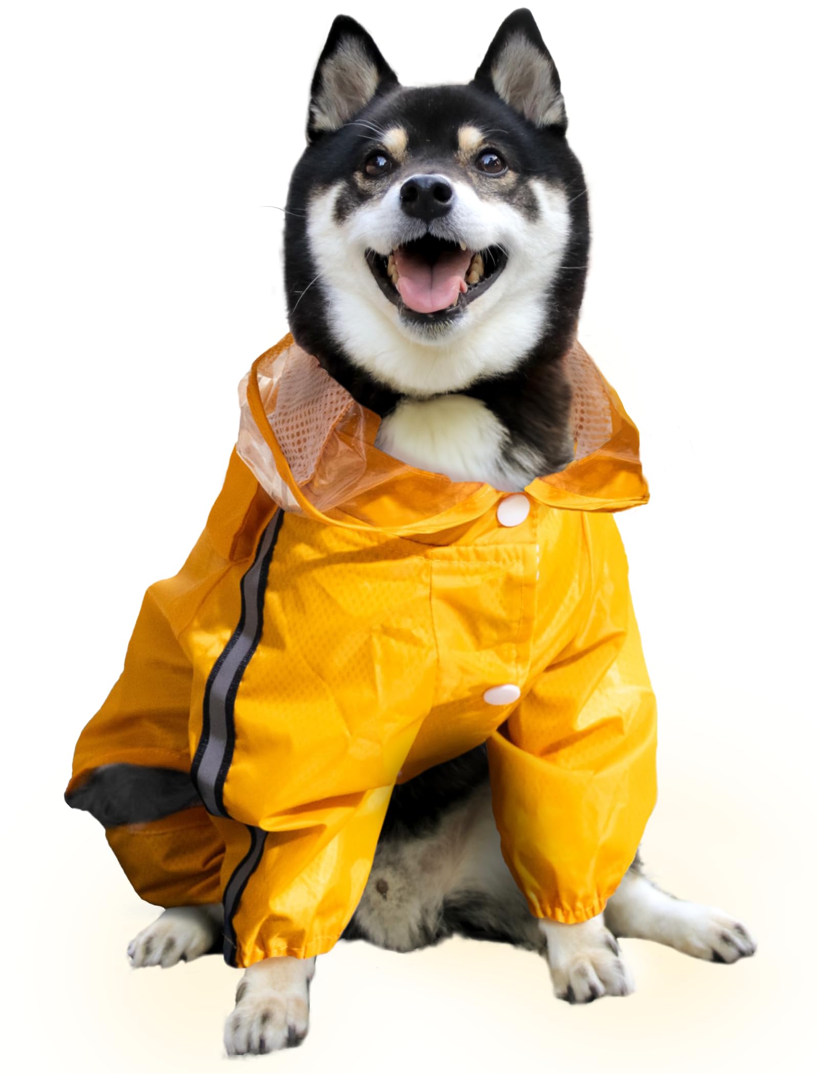 【コスパがGood！なレインコート】 犬 レインコート かっぱ 中型犬 小型犬 犬かっぱ 犬レインコート 防水 雨 梅雨 犬用 ONLYわん!! (XXL)商品画像