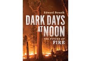 Dark Days at Noon: The Future of Fire