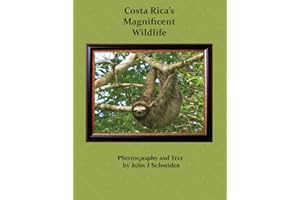 Costa Rica's Magnificent Wildlife