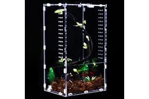 Aiicioo Micro Habitat Terrarium Enclosure 8x6x14 Inches Tarantula Enclosure Box Insect Habitat Clear Acrylic Reptile Feeding Tank for Jumping Spiders Insect Small Tree Dwelling Reptiles